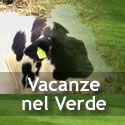 Vacanze verde